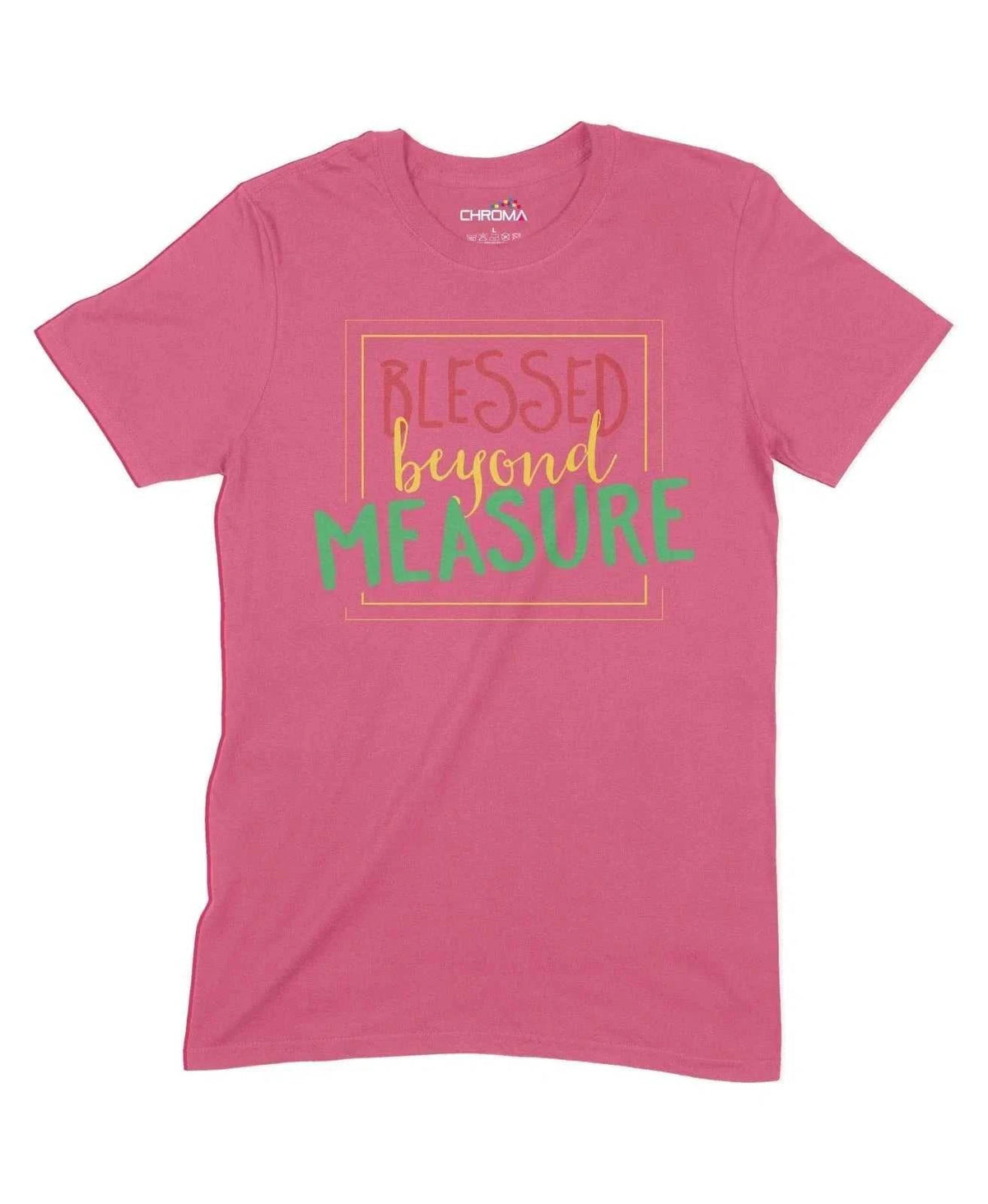 Blessed Beyond Measure Unisex Adult T-Shirt Chroma Clothing