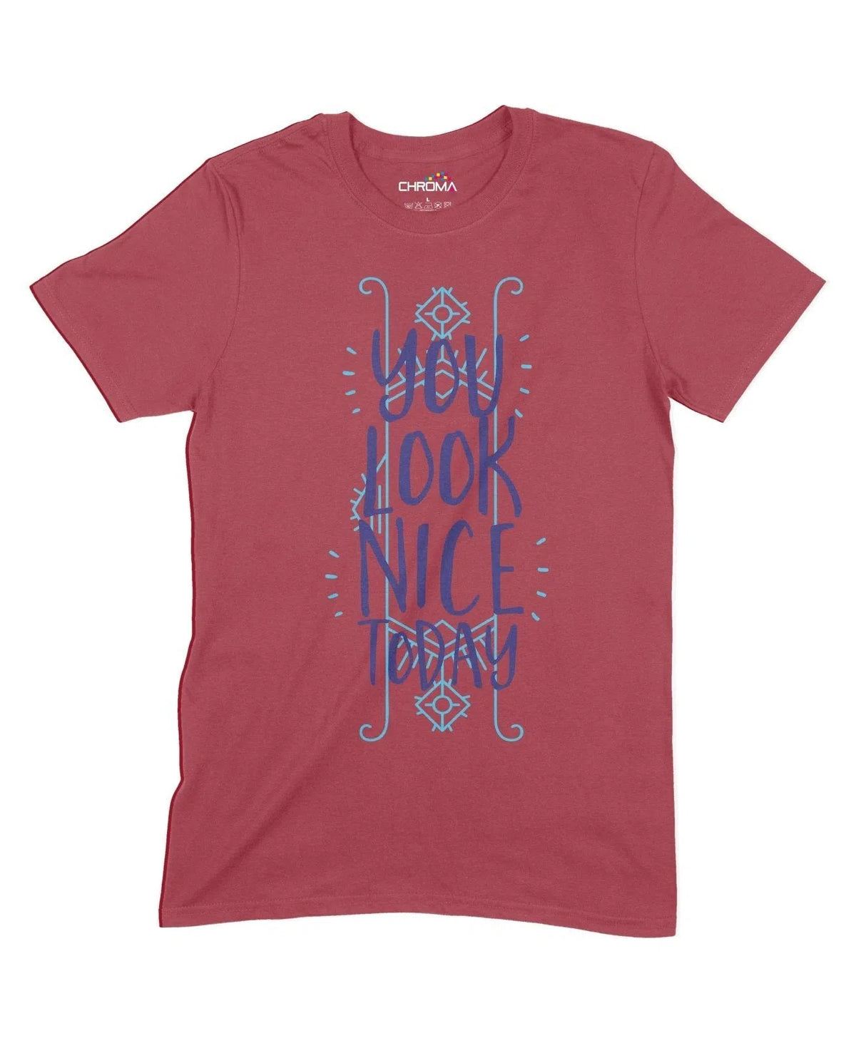 You Look Nice Today Unisex Adult T-Shirt Chroma Clothing