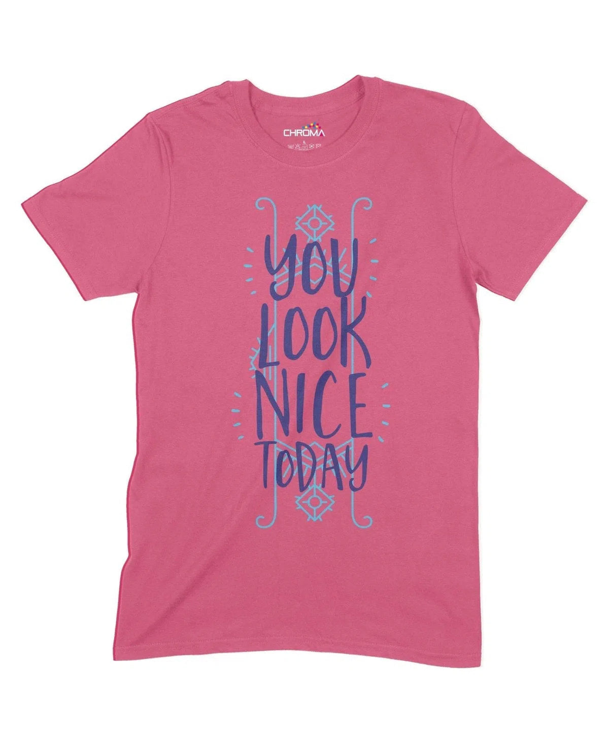 You Look Nice Today Unisex Adult T-Shirt Chroma Clothing