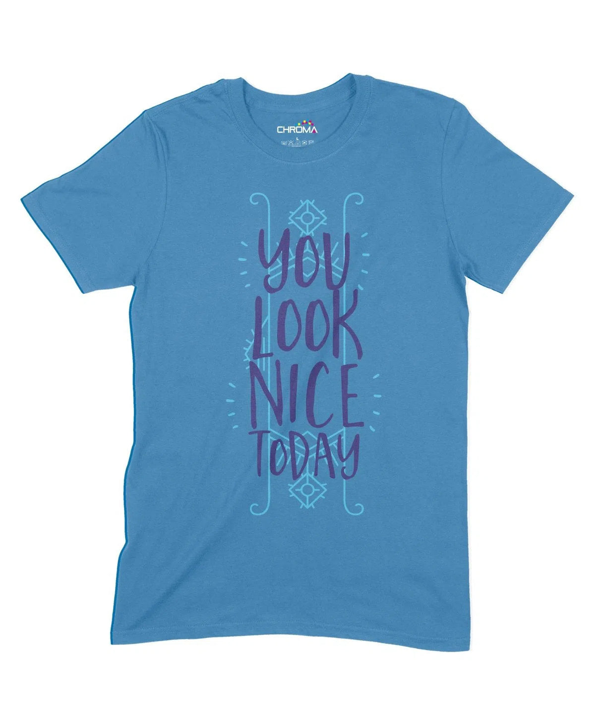 You Look Nice Today Unisex Adult T-Shirt Chroma Clothing